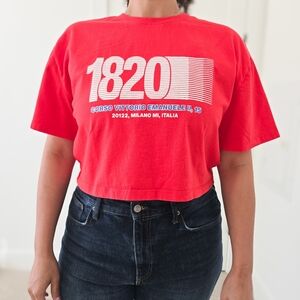 ZARA Red Graphic Crop Top